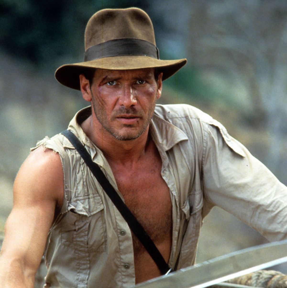 15 Best Harrison Ford Movies - Harrison Ford Movie Performances, Ranked