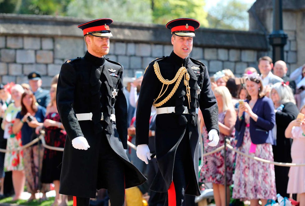 harry y guillermo