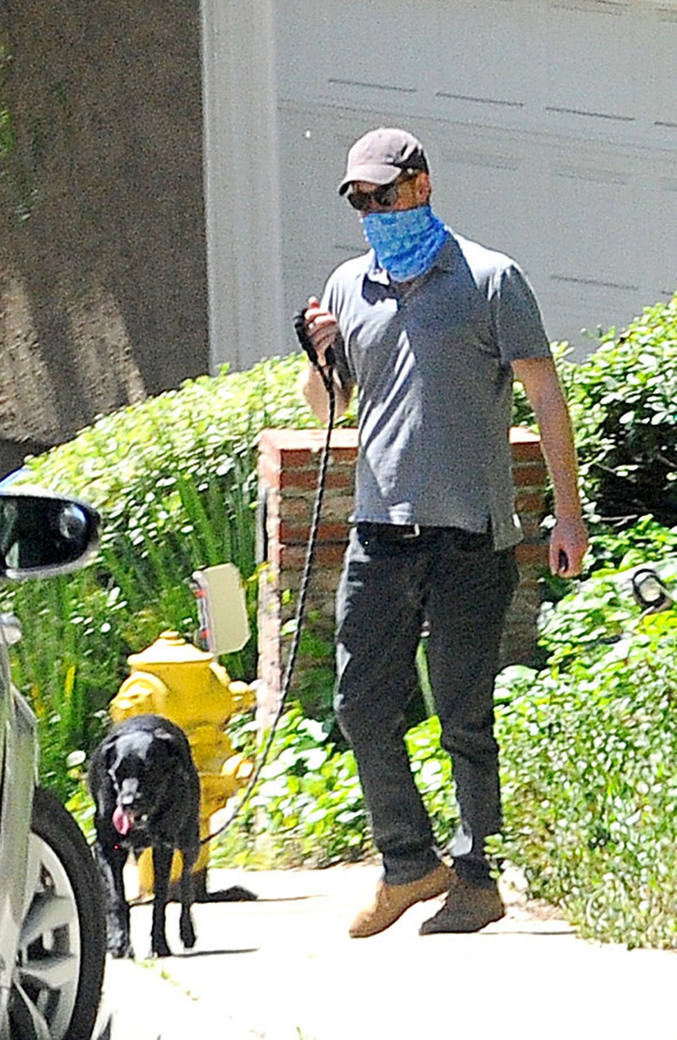 harry de inglaterra con su perro en estados unidos