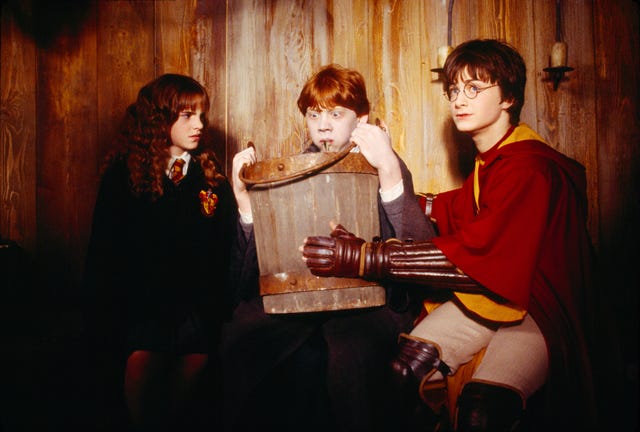 actores de harry potter
