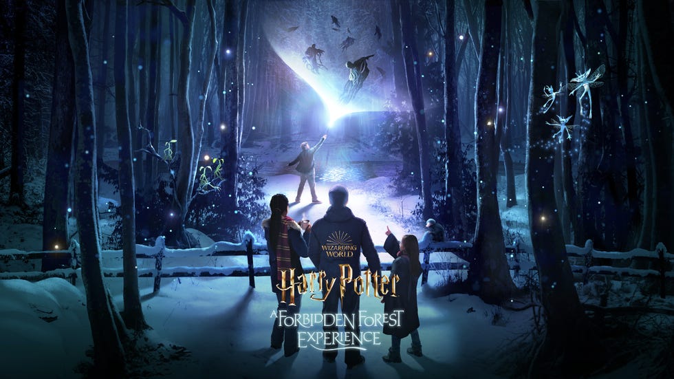 harry potter a forbidden forest experience