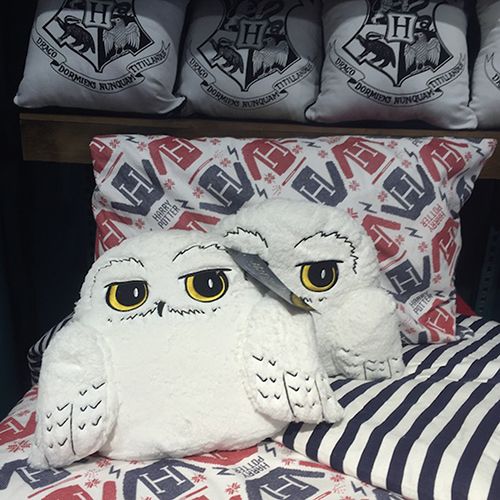 This Primark store is Harry Potter heaven right now 