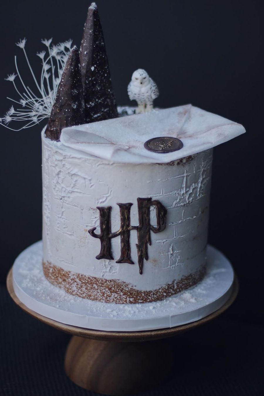 Harry Potter Birthday Party Ideas, Photo 7 of 12