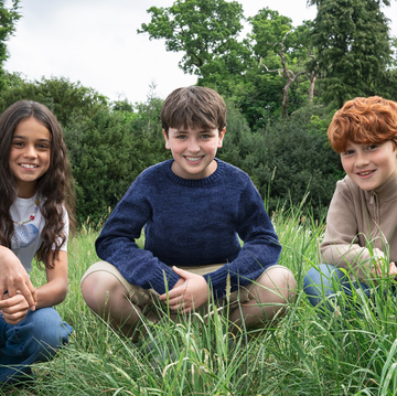 Harry Potter casts Hermione, Harry and Ron harry potter casts hermione, harry and ron