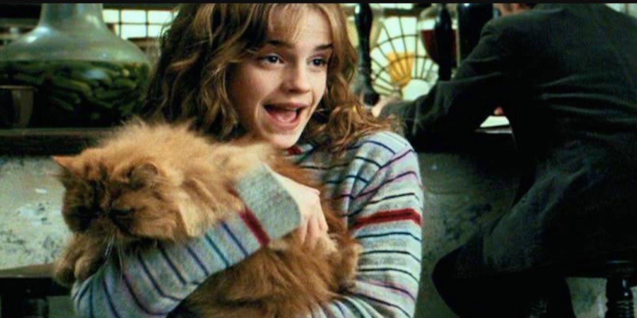 20 frases legendarias por las que adoramos a Hermione Granger