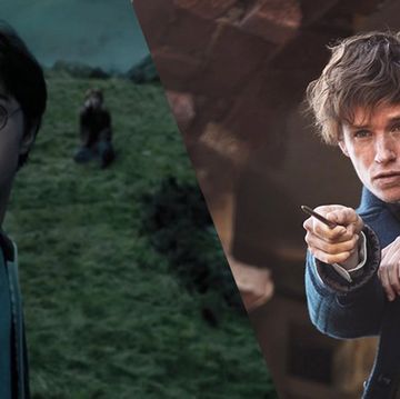 This Newt Scamander reference in Harry Potter and the Prisoner of Azkaban is blowing fans minds