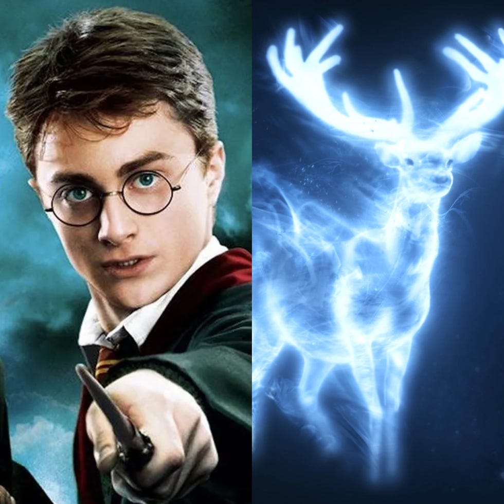 Harry Potter ¿Qué formas tienen los Expecto Patronum de Harry, Ron