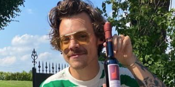 Harry Styles Debuted a Mario Mustache Harry Styles Debuted a Mario Mustache