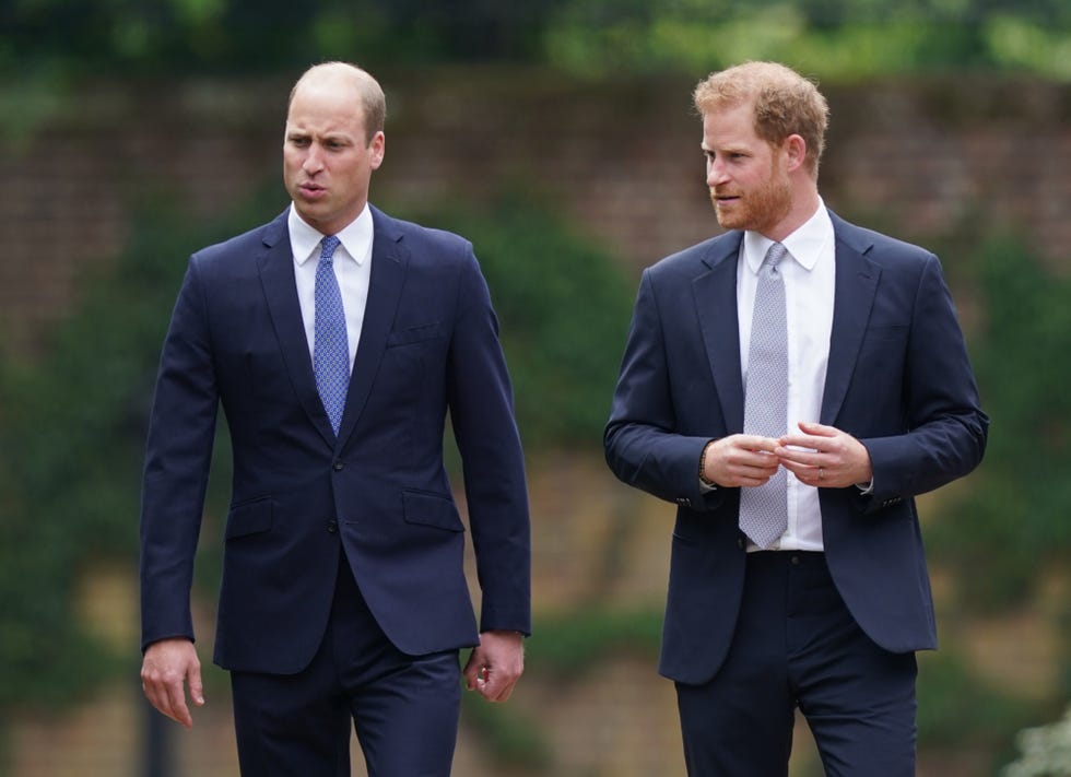 harry y guillermo de inglaterra