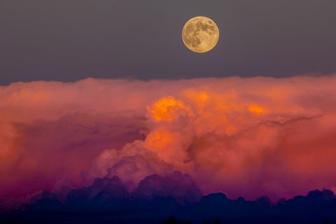 Harvest moon over pink and orange clouds