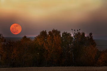 harvest moon september 2021