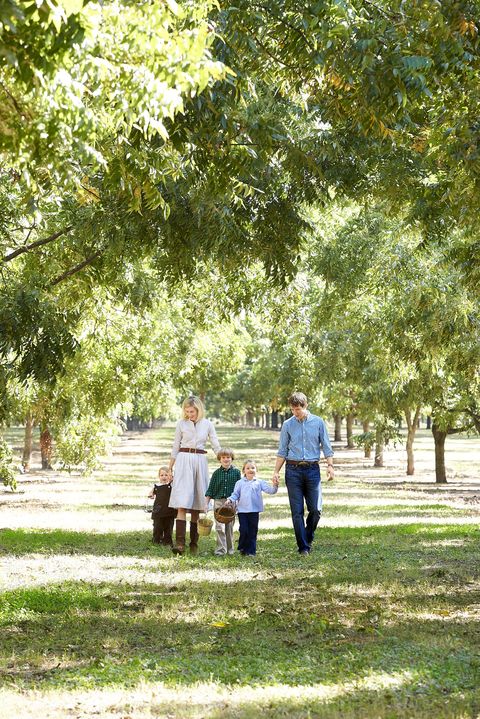 a family pecan picking in an orchard