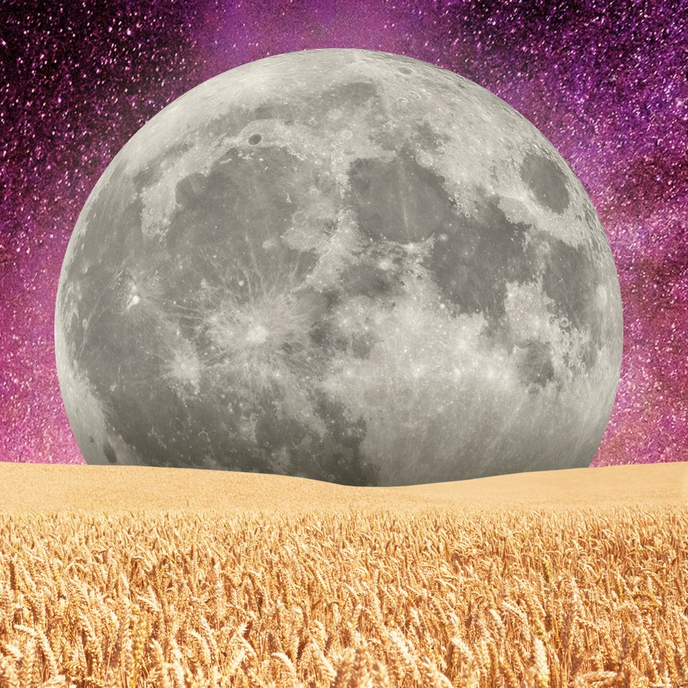 What September's Full Harvest Moon in Pisces Means For You