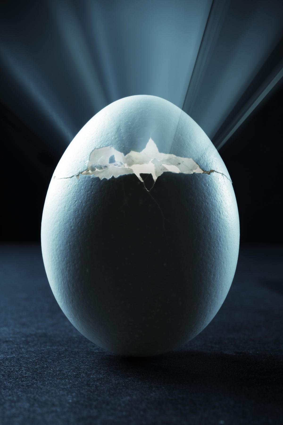 hatching-egg-royalty-free-image-1721054484.jpg?crop=1xw:0.49976xh;center,top&resize=1200:*<a