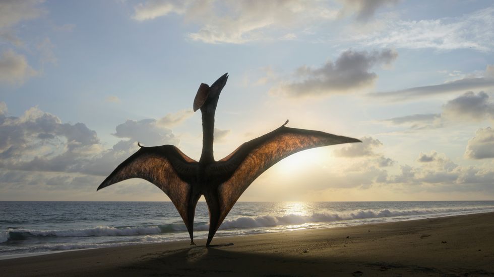 hatzegopteryx, prehistoric planet