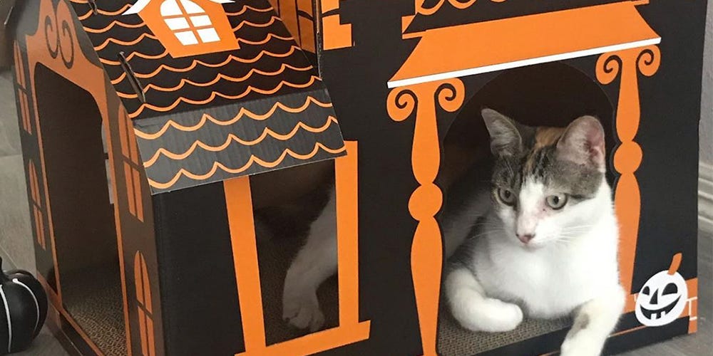 You Can Get a Haunted House for Your Cat at Target, So They Can ...