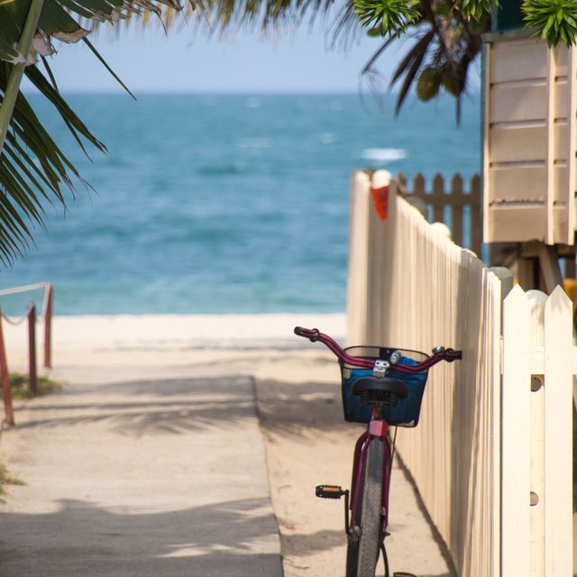 bicycle near the beach