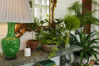 Flowerpot, Houseplant, Green, Plant, Interior design, Room, Table, Furniture, Living room, Flower, 