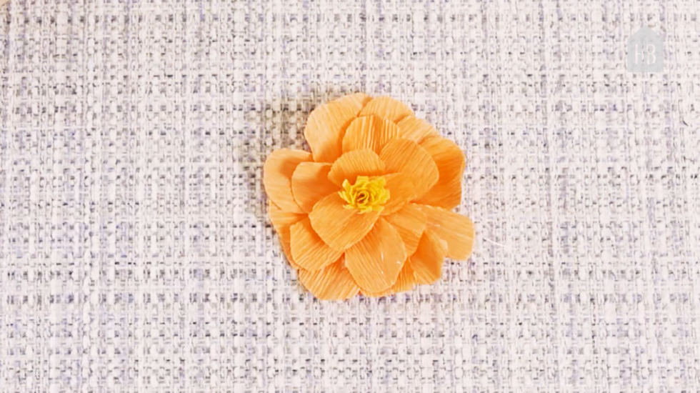Orange, Yellow, Petal, Flower, Plant, Hair accessory, Peach, Headgear, 