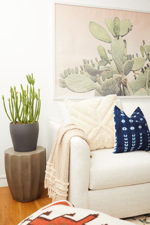 Interior design, Interior design, Living room, Botany, Flowerpot, Pillow, Throw pillow, Couch, Cushion, Houseplant, 