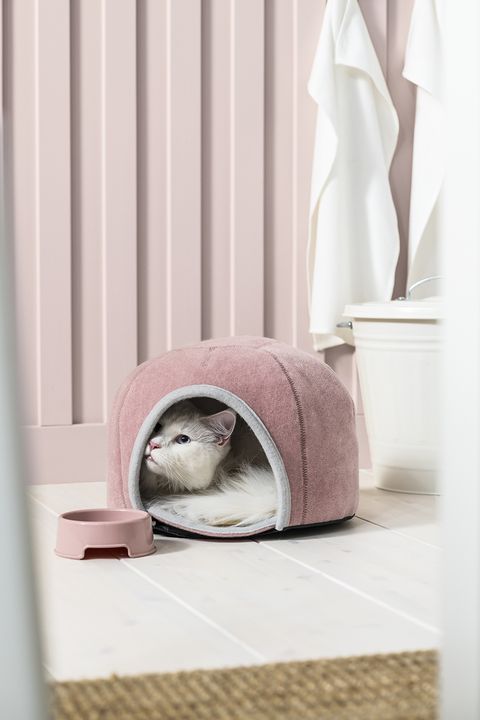 Ikea Cat Bed