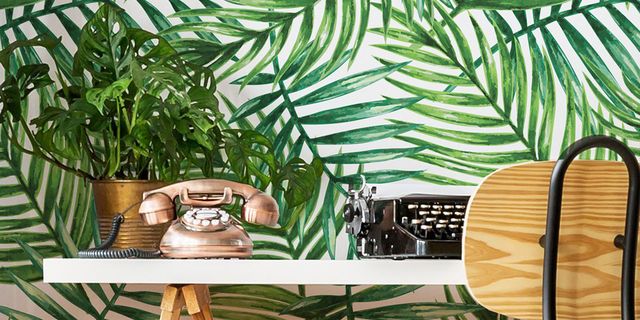10 Best Tropical Removable Wallpapers - Palm Leaf Temporary Wallpaper
