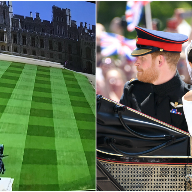 Windsor Castle Lawn During The Royal Wedding