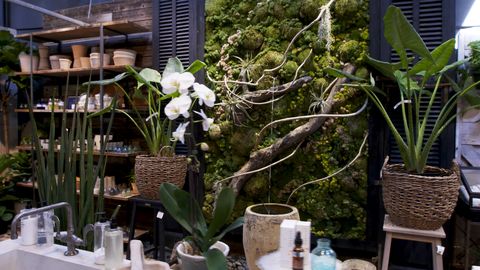 preview for Anthropologie's Terrain Stores are a Total Plant Paradise
