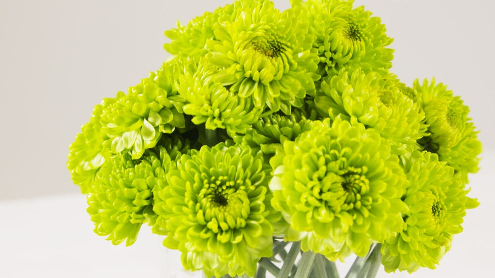 arreglo de flores de color verde