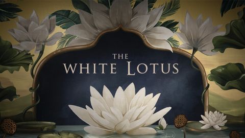 a wallpaper from the opening credits of hbo's the white lotus