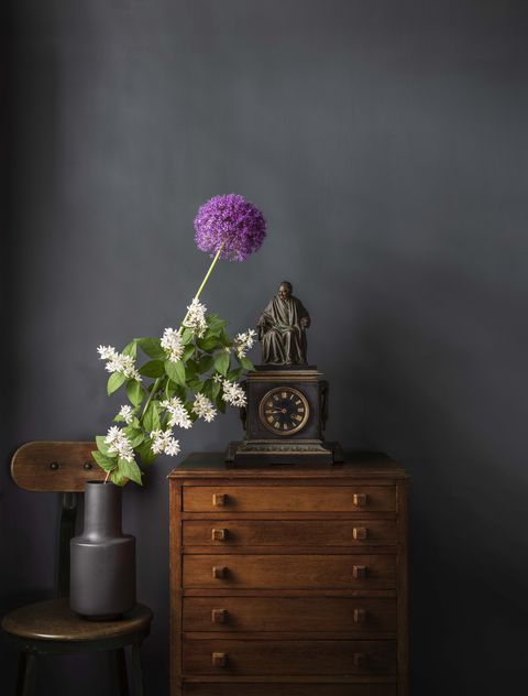 Still life photography, Still life, Purple, Flower, Chest of drawers, Plant, Furniture, Room, Vase, Houseplant, 