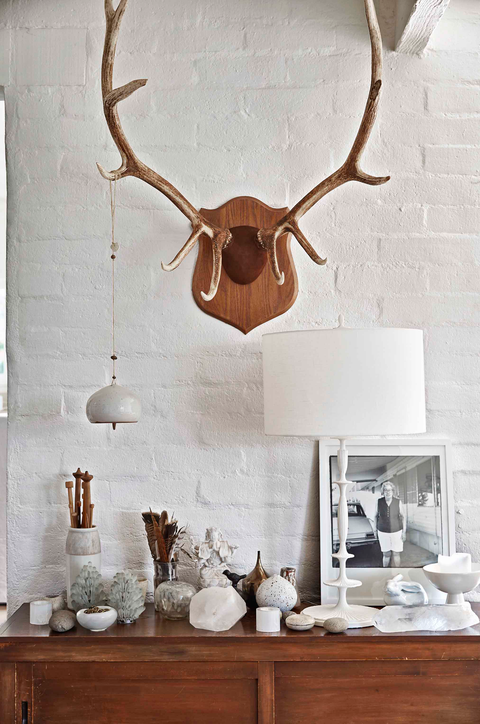 antler, horn, wall, room, branch, deer, interior design, natural material, wood, furniture,