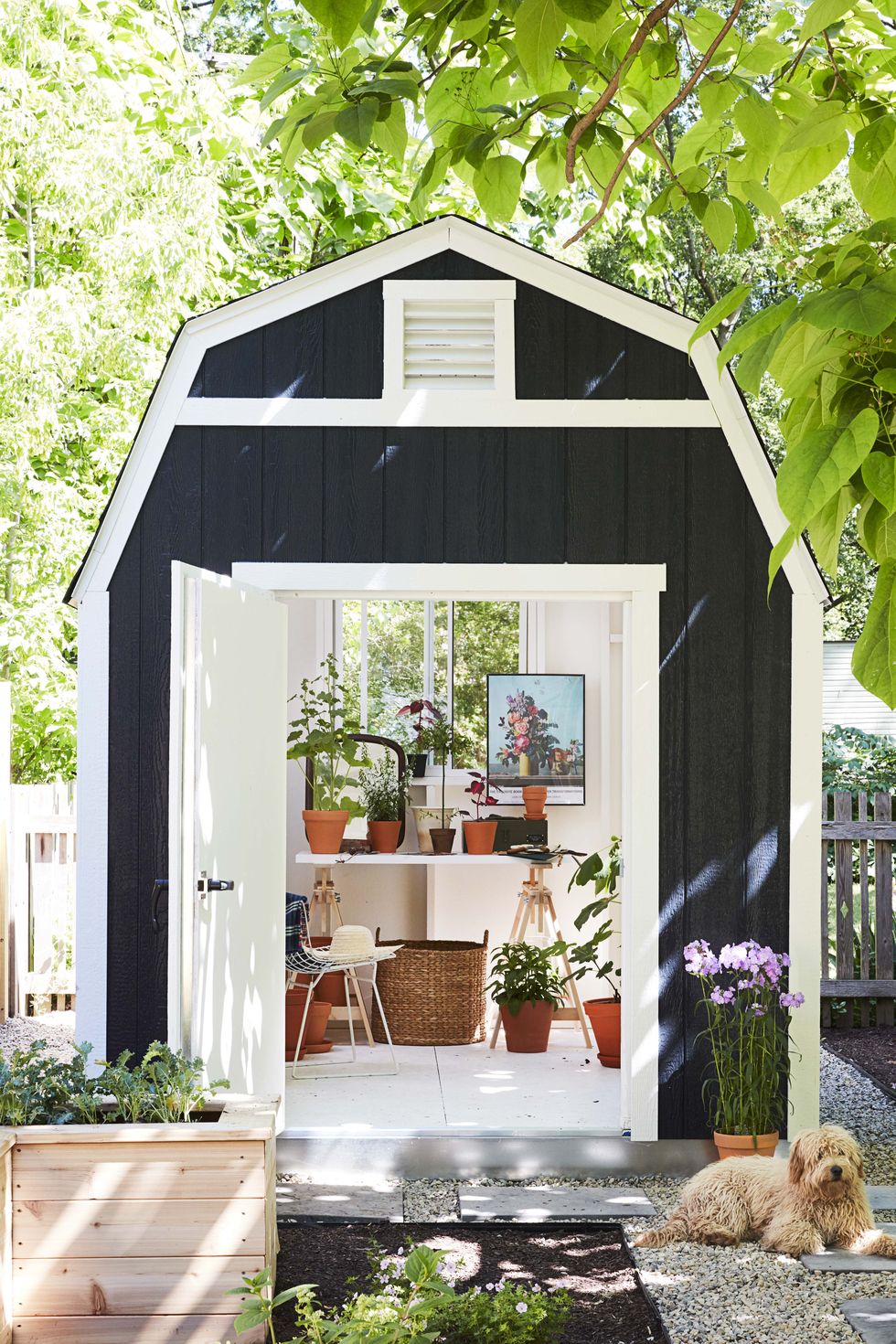 Turn Any Shed Into A She Shed
