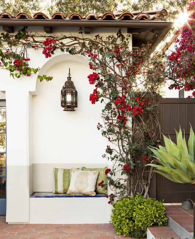 How to Grow and Care for Bougainvillea So It Thrives