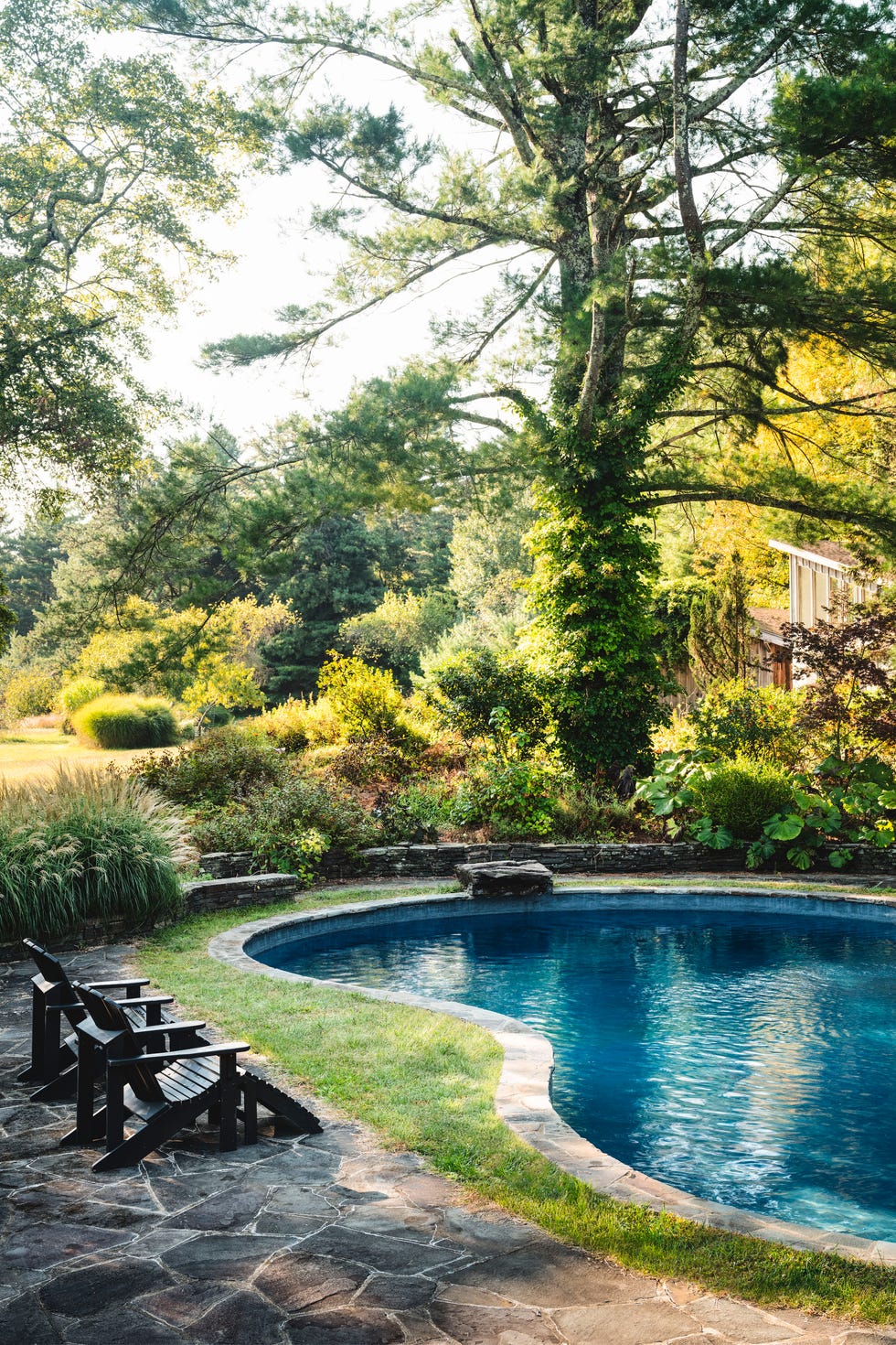 backyard backyard