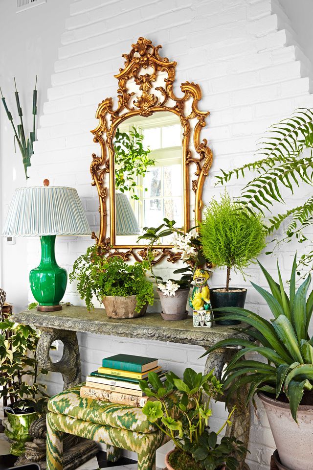Green, Houseplant, Room, Interior design, Furniture, Plant, Table, Home, Flower, House, 