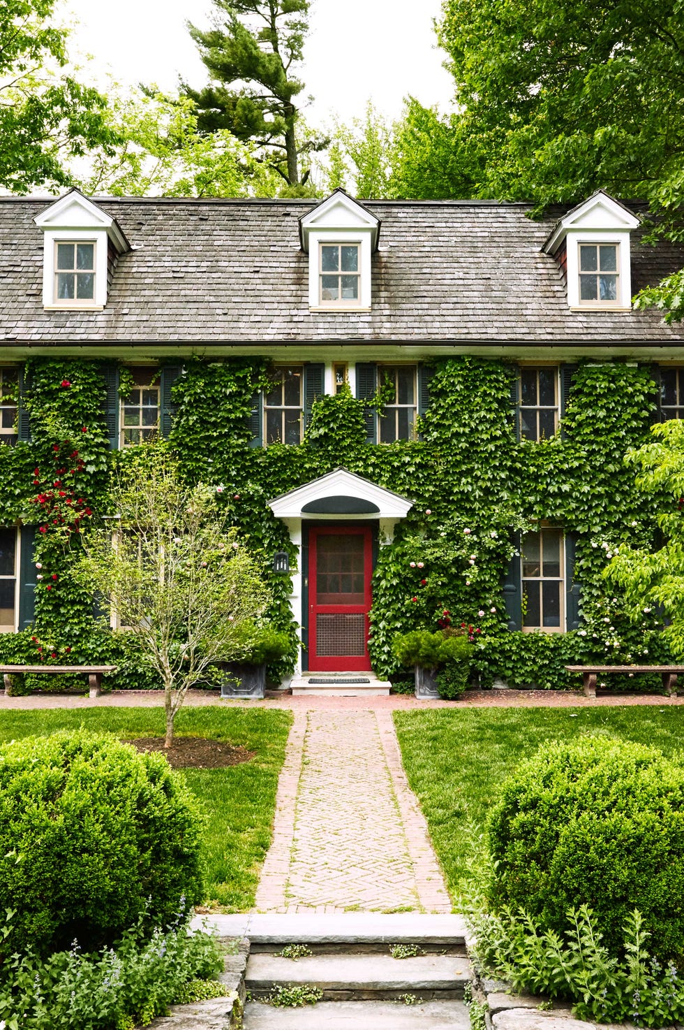 Green, House, Property, Garden, Estate, Home, Building, Tree, Botany, Shrub,