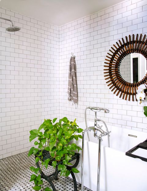white tiled bathroom with plant