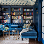 Blue, Living room, Room, Interior design, Furniture, Building, Ceiling, Wall, Shelf, Shelving, 