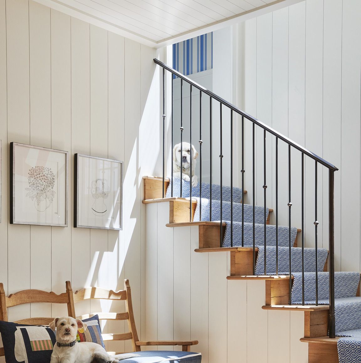 Step Up: staircase design ideas for your next project