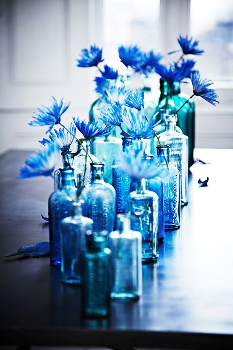 Cobalt blue, Blue, Majorelle blue, Water, Flower, Electric blue, Bottle, Still life photography, Plant, Glass bottle, 
