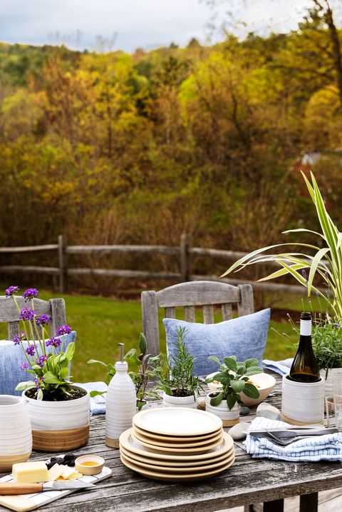 Garden, Botany, Spring, Plant, Flower, Yard, Grass, Backyard, Table, Landscape, 