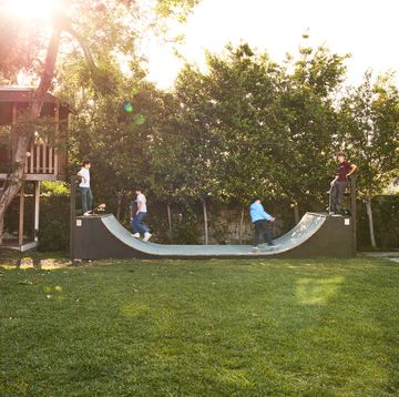 outdoor escape tree house and skate ramp in los angeles backyard