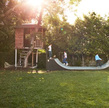 outdoor escape tree house and skate ramp in los angeles backyard