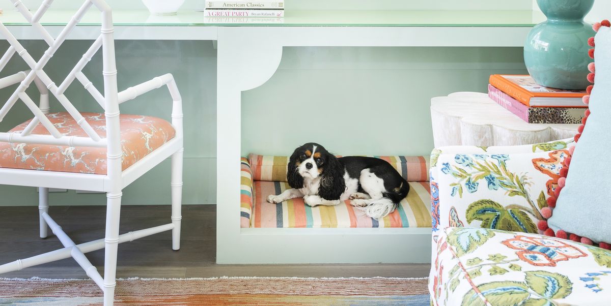the best dog beds