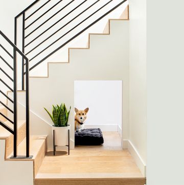 nook under the stairs featuring corgi, bo, designed by linda hayslett for los angeles, ca client