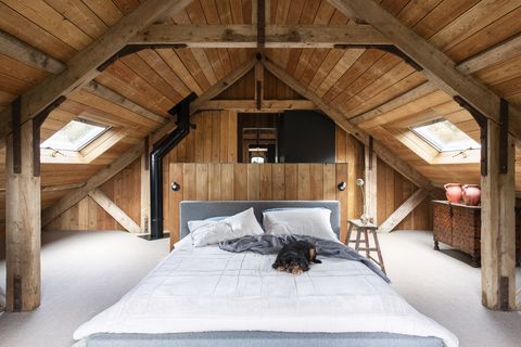 wood ceiling, dog, barn, white duvet