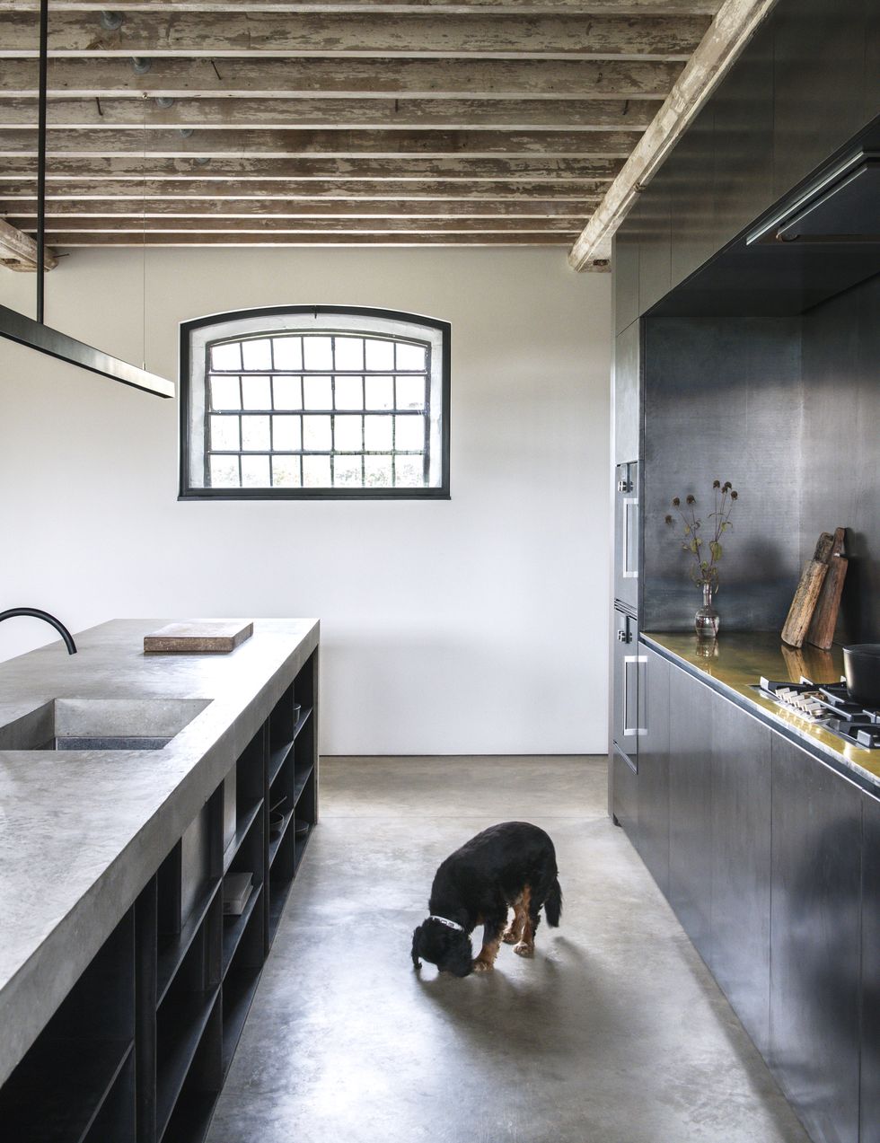 kitchen, minimal, dog, cement countertop, black cabinets