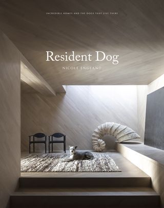 book, dog, minimal