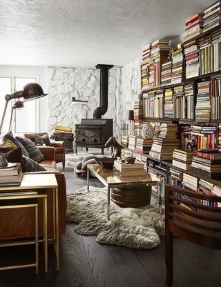 Furniture, Room, Interior design, Shelving, Bookcase, Building, Shelf, Living room, Wall, Library, 